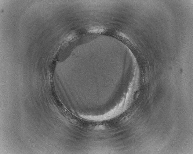 X0000070350647200607072039