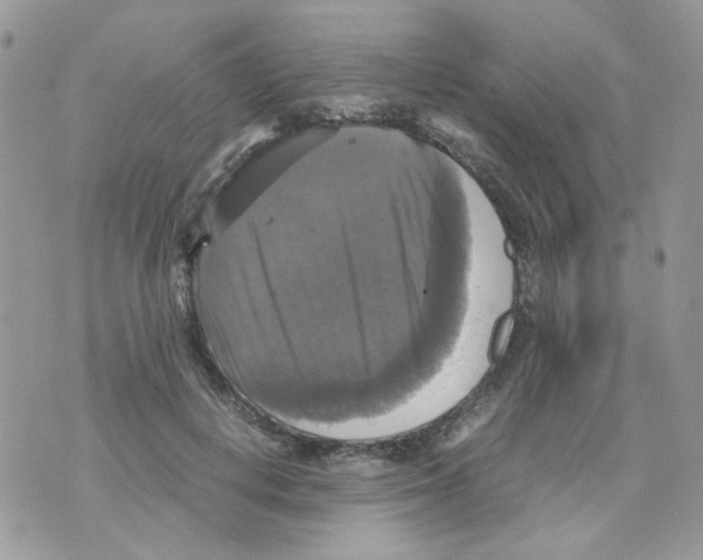 X0000070350648200607072039