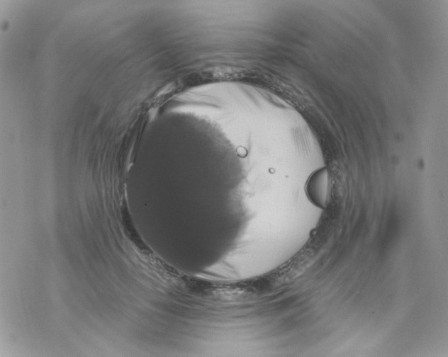 X0000070350650200607072039