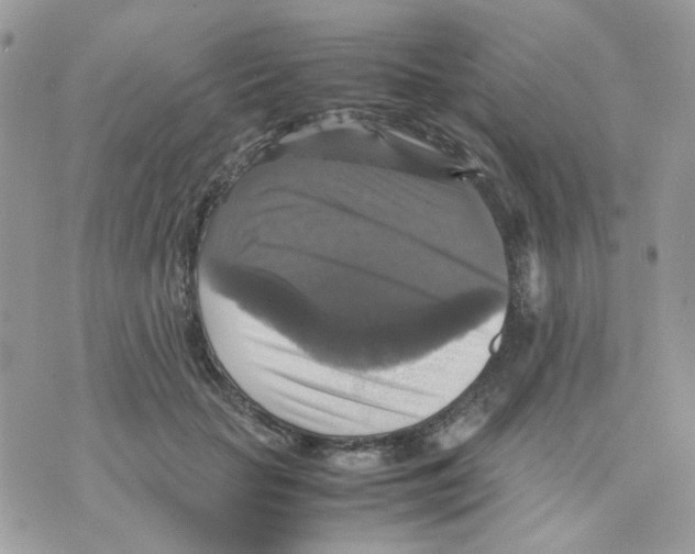 X0000070350653200607072039