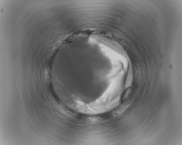 X0000070350654200607072039