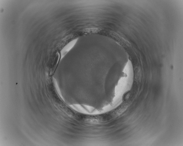 X0000070350655200607072039