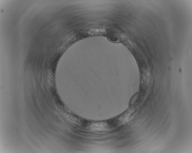 X0000070350659200607072039