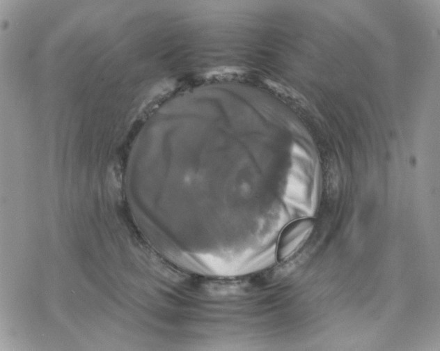 X0000070350661200607072039