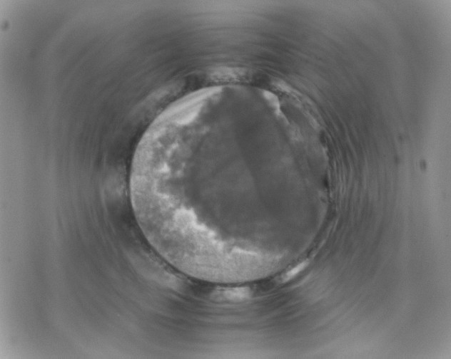 X0000070350665200607072039