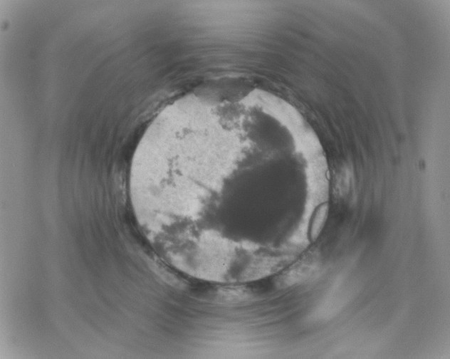 X0000070350666200607072039