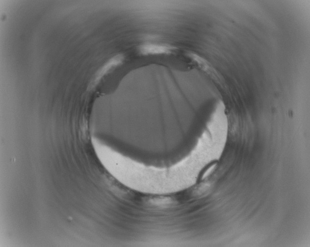 X0000070350669200607072040