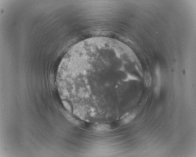 X0000070350670200607072040