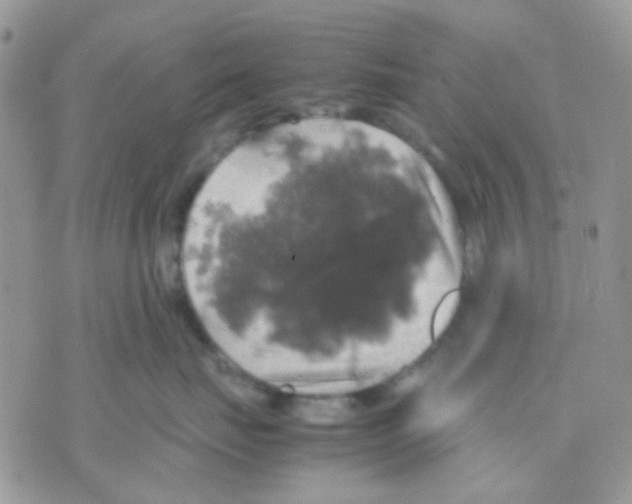 X0000070350671200607072040