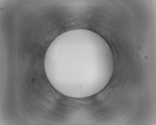 X0000070350672200607072040