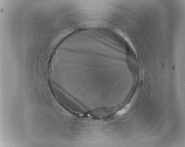 X0000070350673200607072039