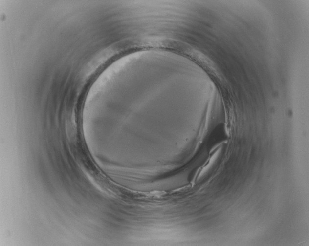 X0000070350674200607072039