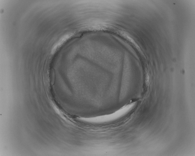 X0000070350677200607072039