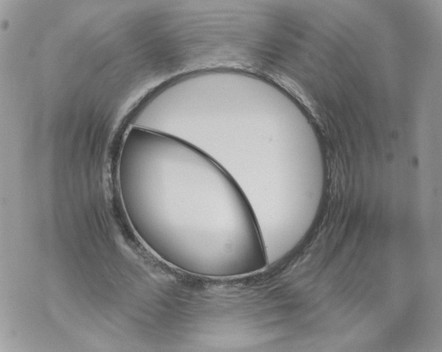 X0000070350680200607072039