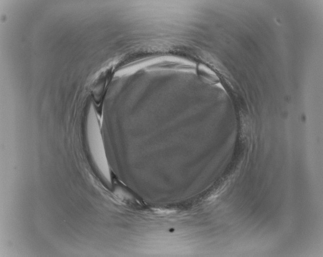 X0000070350681200607072039