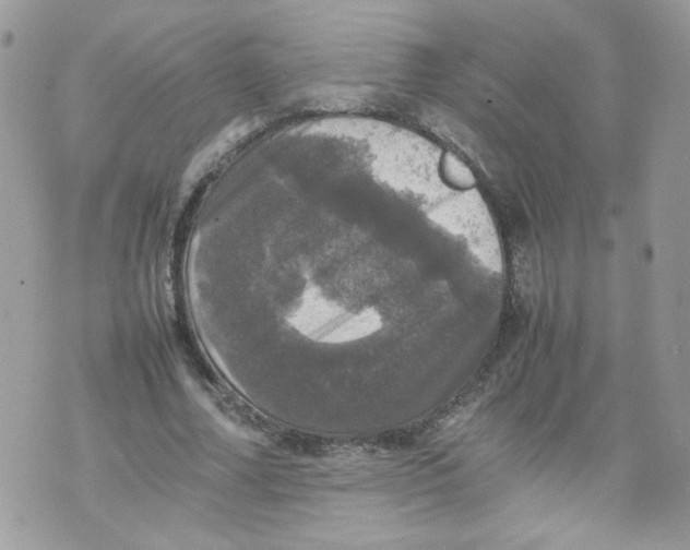 X0000070350682200607072039