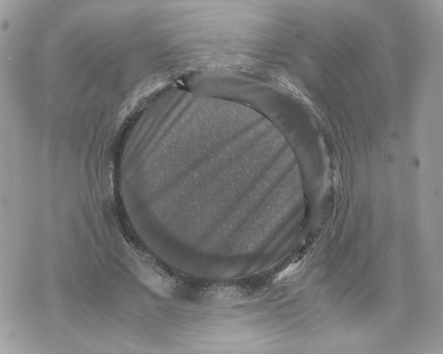 X0000070350685200607072039