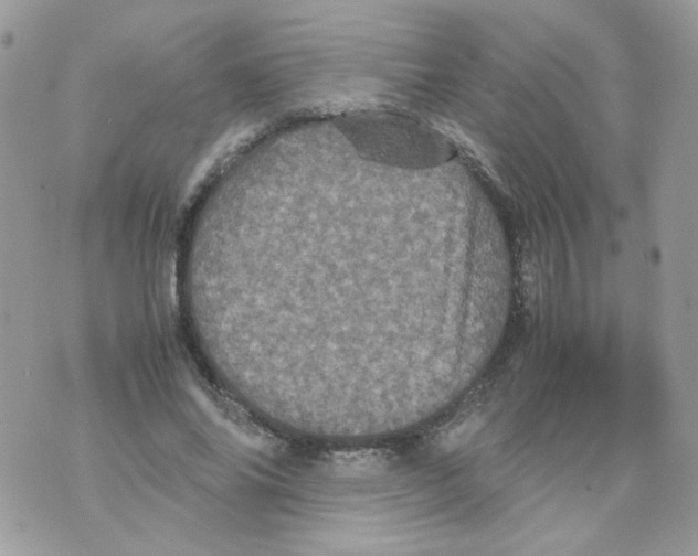 X0000070350686200607072039