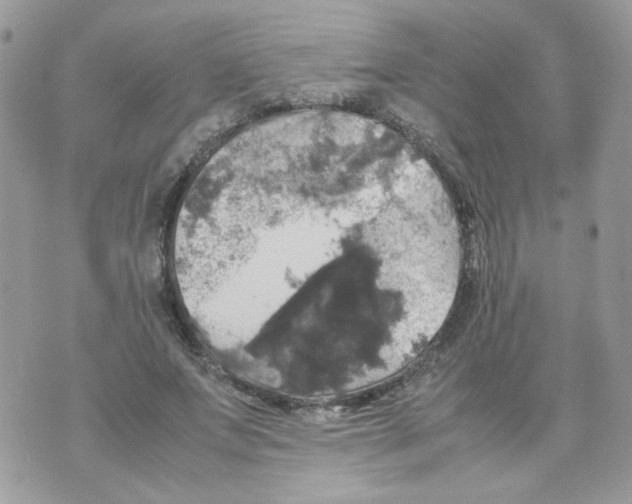 X0000070350687200607072039