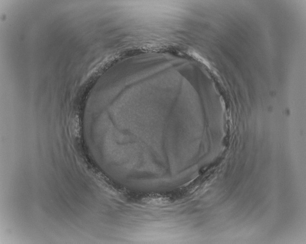 X0000070350689200607072039