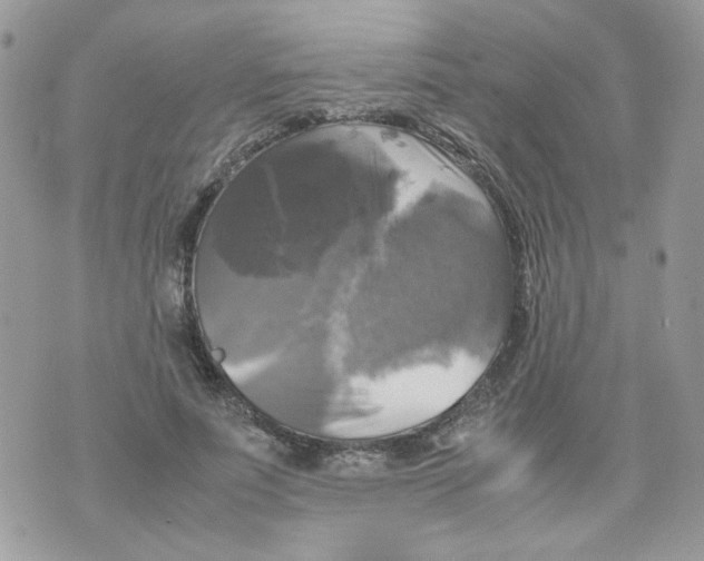 X0000070350691200607072038