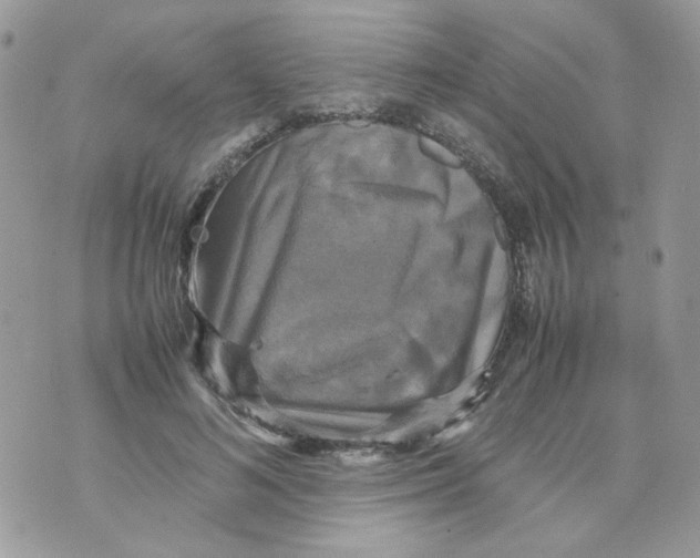 X0000070350692200607072038