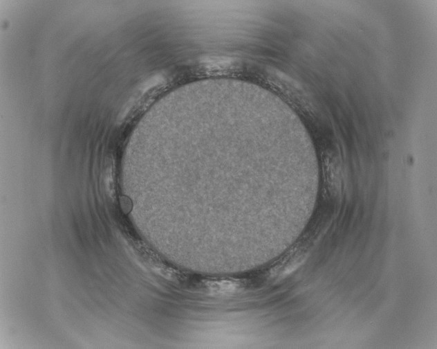 X0000070350698200607072038