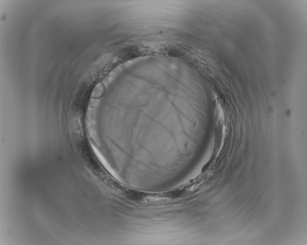 X0000070350699200607072038