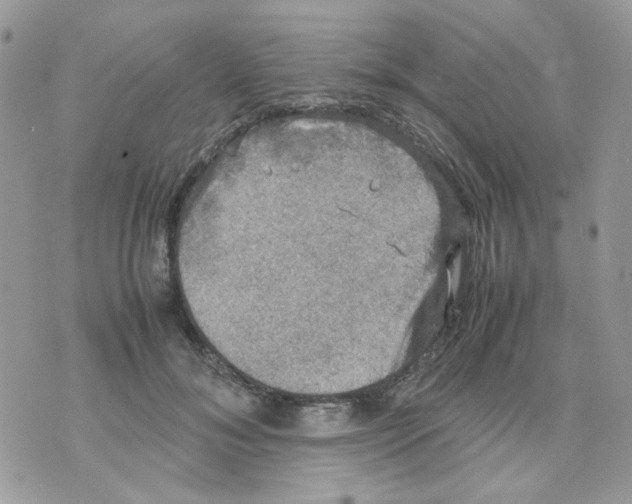 X0000070350700200607072038