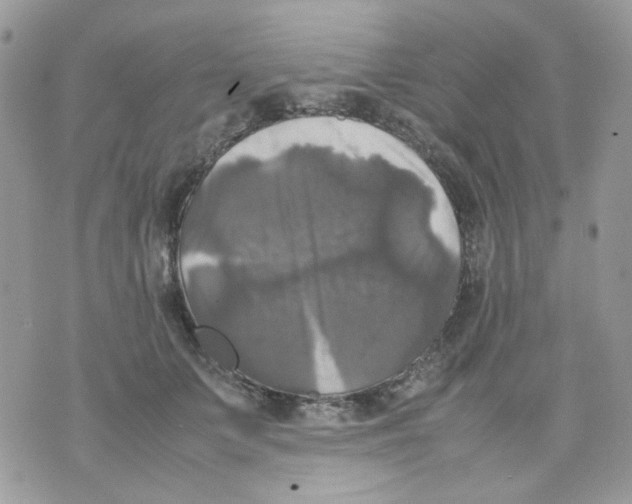 X0000070350703200607072038