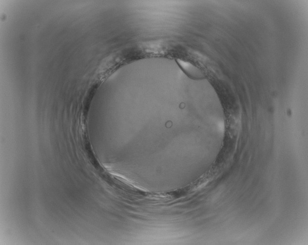 X0000070350707200607072038