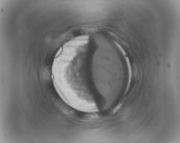 X0000070350715200607072038