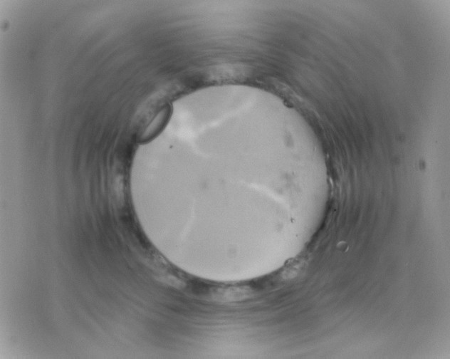 X0000070350716200607072038