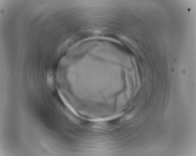 X0000070350720200607072038