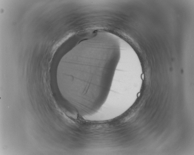 X0000070350721200607072037