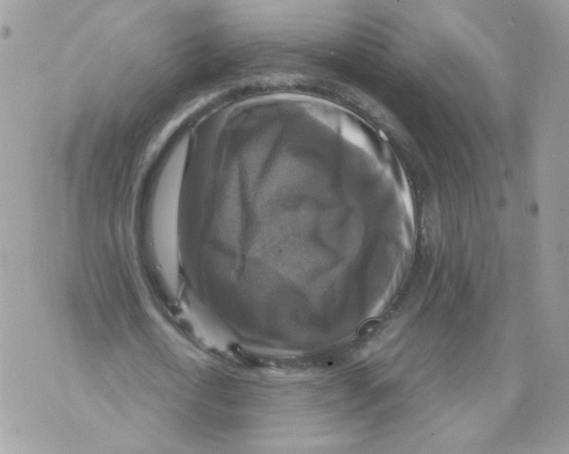 X0000070350722200607072037