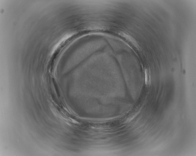 X0000070350723200607072037