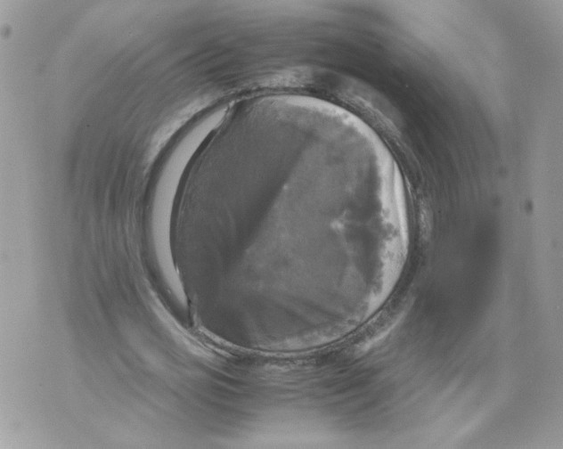 X0000070350725200607072037