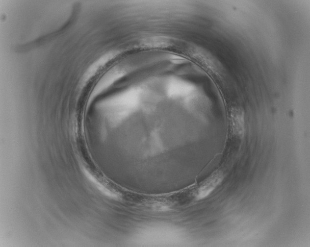 X0000070350726200607072037