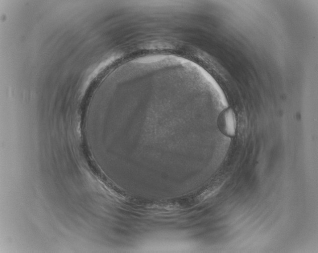 X0000070350727200607072037