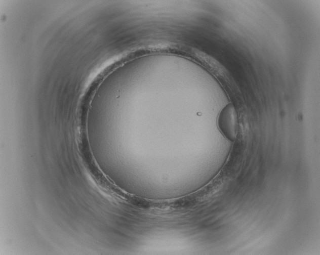 X0000070350728200607072037