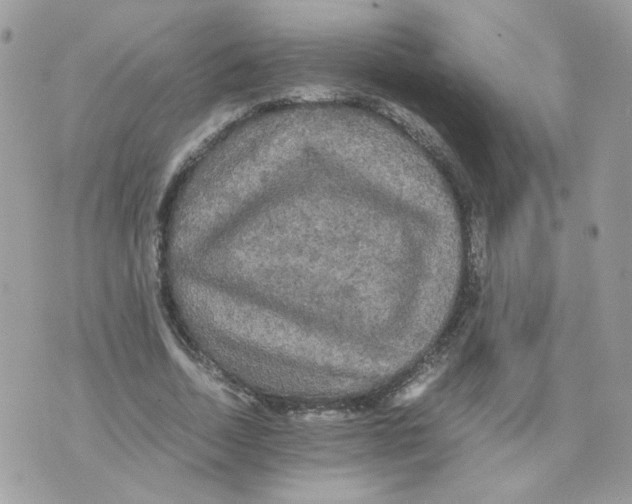 X0000070350730200607072037