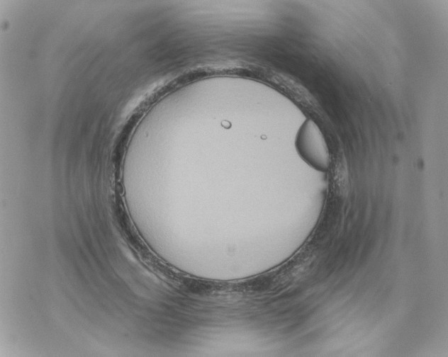 X0000070350732200607072037