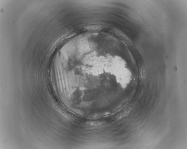 X0000070350733200607072037