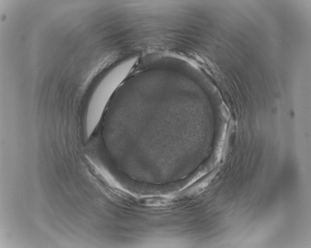 X0000070350735200607072037