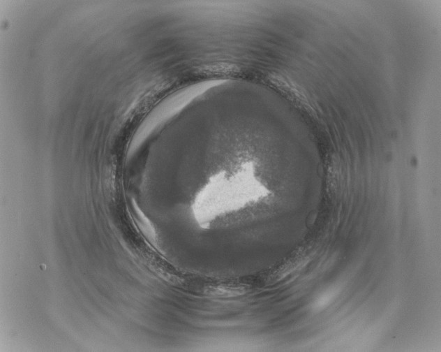 X0000070350739200607072038