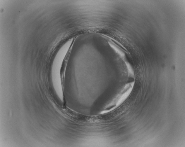 X0000070350742200607072038