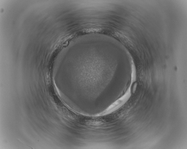 X0000070350743200607072038