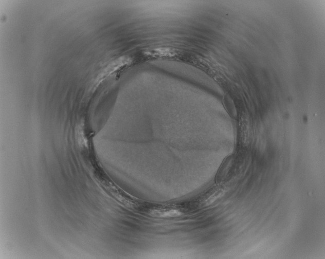 X0000070350747200607072038