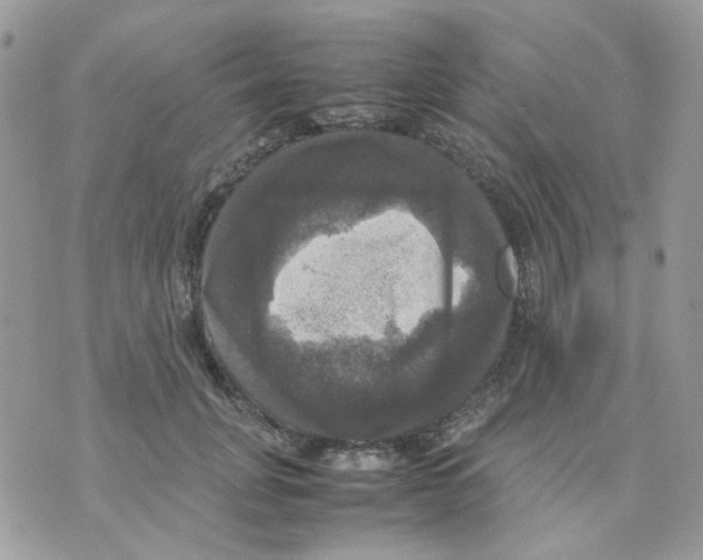 X0000070350751200607072038